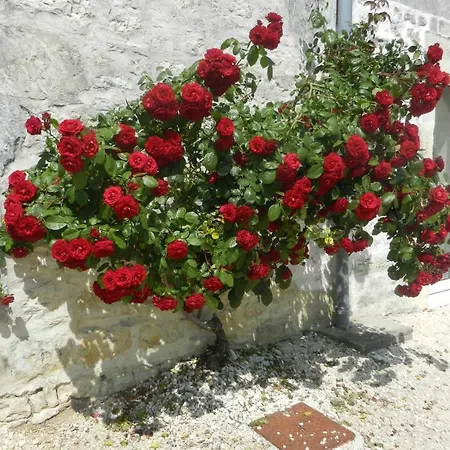 Chateau De Laleard Hotel Saint-Hilaire-de-Villefranche