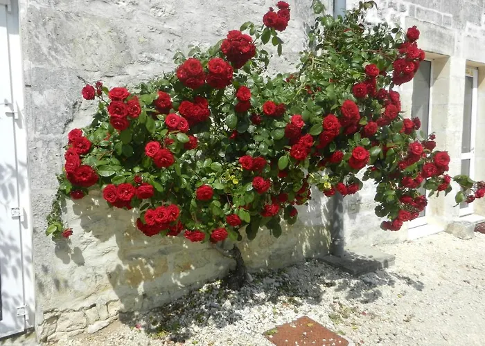 Chateau De Laleard Hotel Saint-Hilaire-de-Villefranche